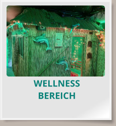 WELLNESS BEREICH